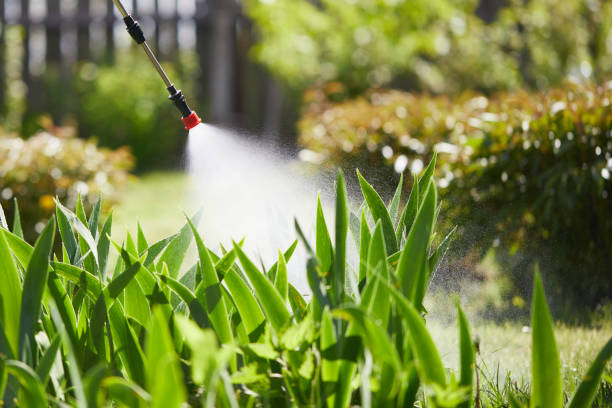Tamper-Resistant Bait Stations for Rodents in Laredo
