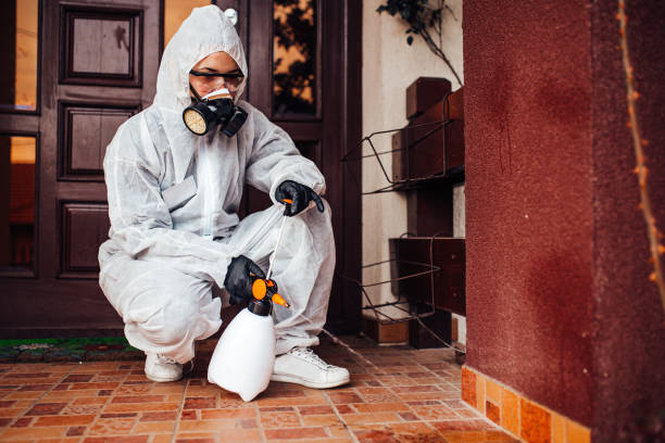 Attic and Crawl Space Rodent Treatment in Laredo